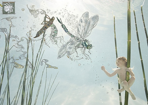 Water Babies, a dreamy tale