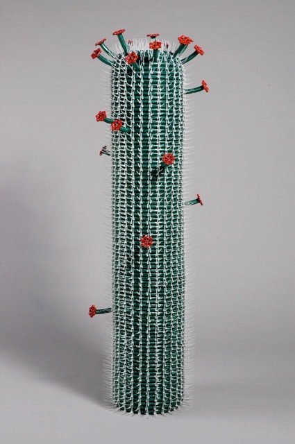 Hose Cactus: Stunning Artwork About Drinking Water