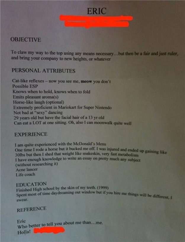 The Most Creative (or Stupidest) Resume Ever