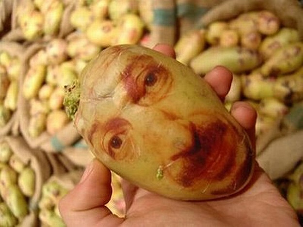 Potato Portraits: The Real Life Potato Heads