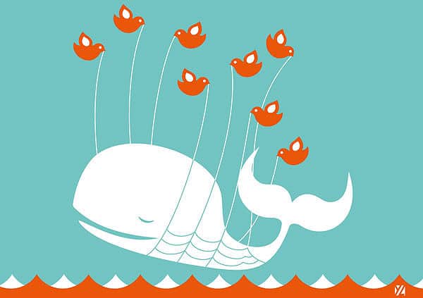 Wall Graphic: Twitter Fail Whale Never Looked So Good