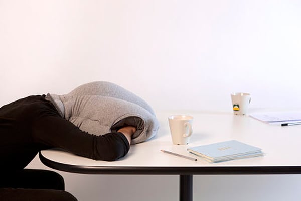 Workaholic’s Dream: The Ostrich Power Nap Pillow