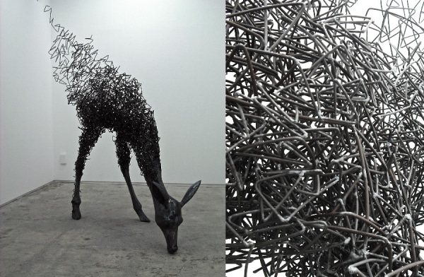 Perceive Life Differently: Oddly Lifelike Wire Sculptures