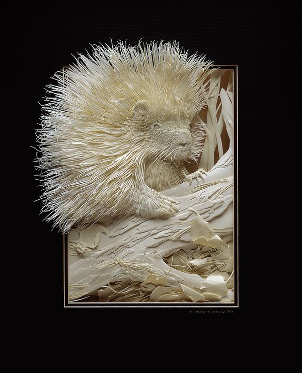 Unbelievable Paper Art: Wildlife In Insane Detail