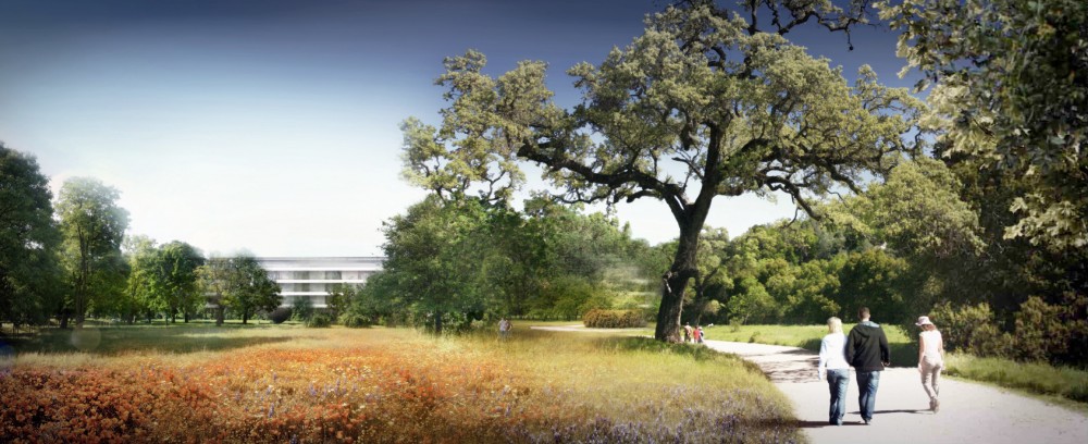 11 New Images Of The Highly Anticipated New Apple HQ