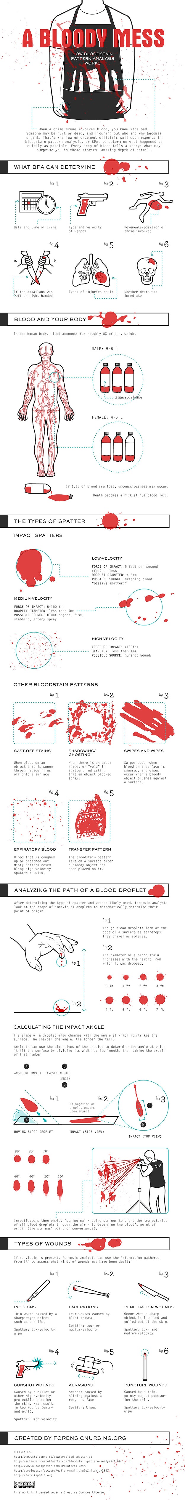CSI Wannabes: How To Analyze A Bloodstain Pattern