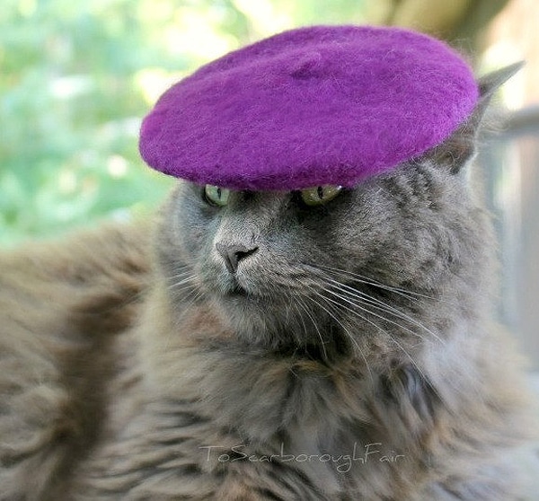 Colorful Cat Hats: Give Your Cute Cat Some Style