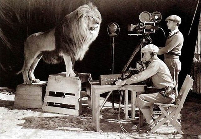 Making The MGM Logo: The Shooting Of A Roar