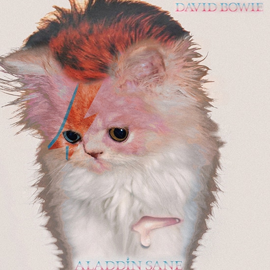 Classic Album Covers Redesigned With Cute Kittens [12 Pics]