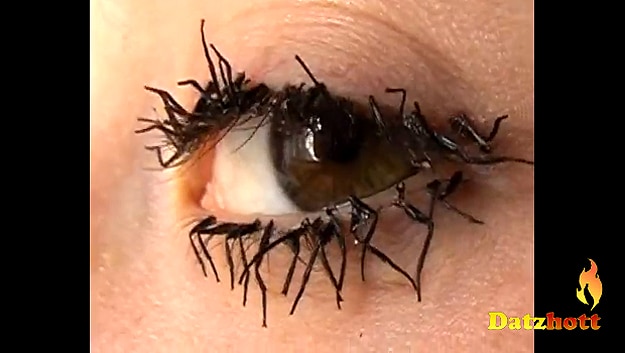 Bizarre Beauty: Fake Eyelashes Created From Dead Fly Legs