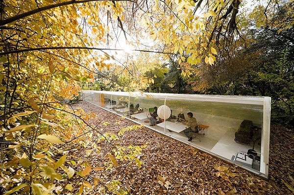 Work Alongside Nature: An Inspiring Office Building In The Woods