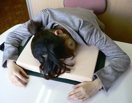 Secretly Take A Nap At Work: The Pillow Disguised As A Dictionary