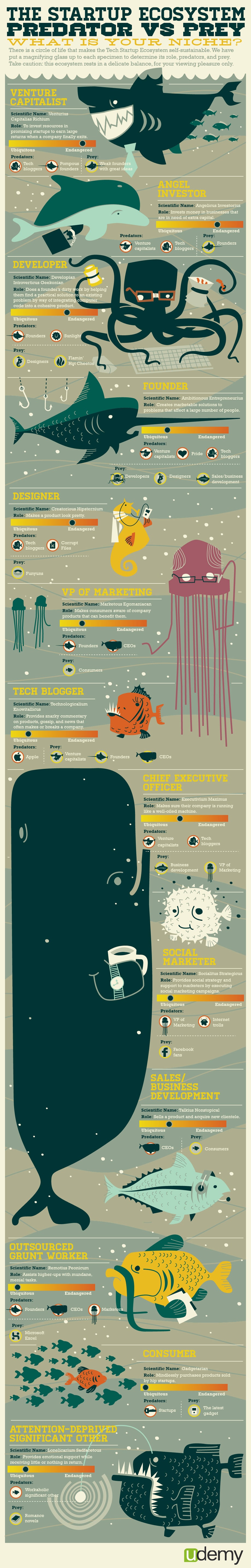 The Startup Ecosystem: Tech Roles Compared [Infographic]