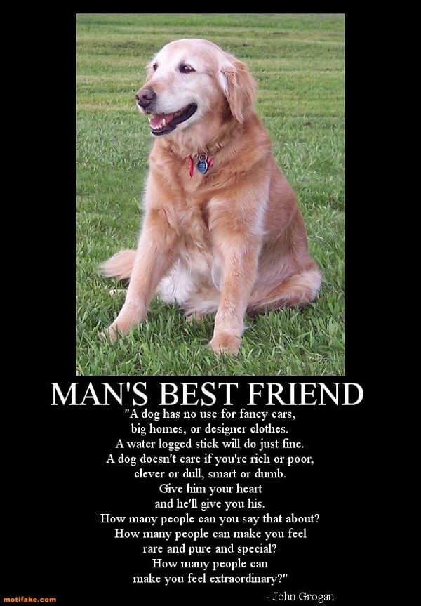 A Special Tribute To The Loyal Dogs In Our Lives [15 Pics]