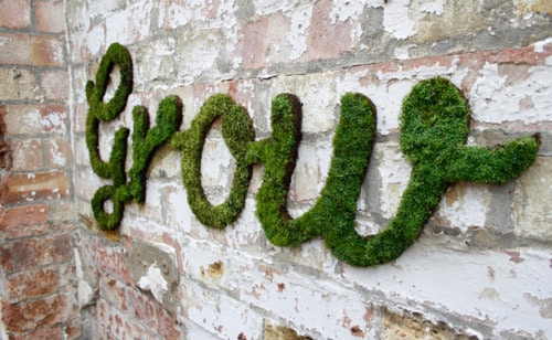 How To Create Green Moss Wall Graffiti [Infographic]