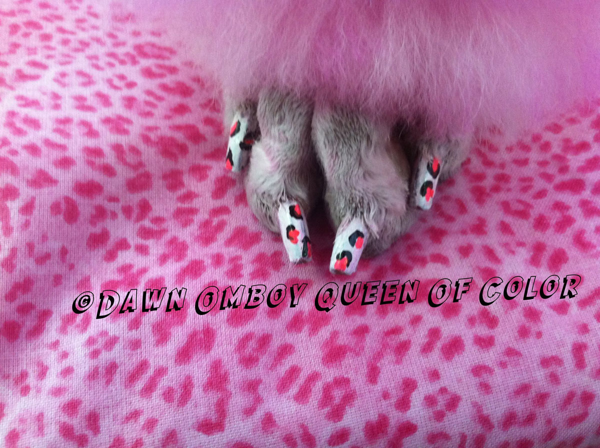 Doggie Pedicures: Transform Your Pup Into A Beauty Queen