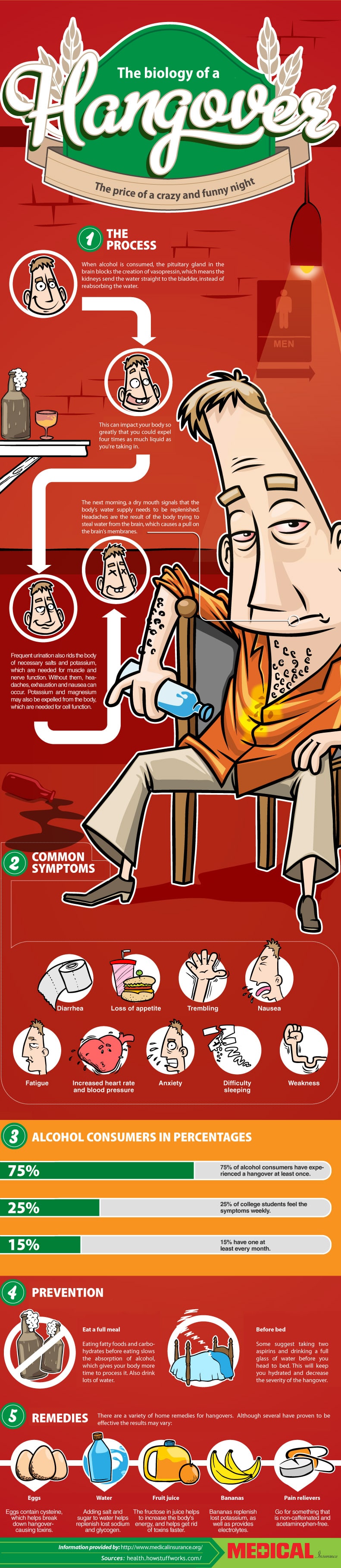 Biology Of A Hangover & How To Prevent It [Infographic]