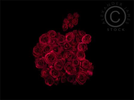 Famous Logos Redesigned With Red Roses