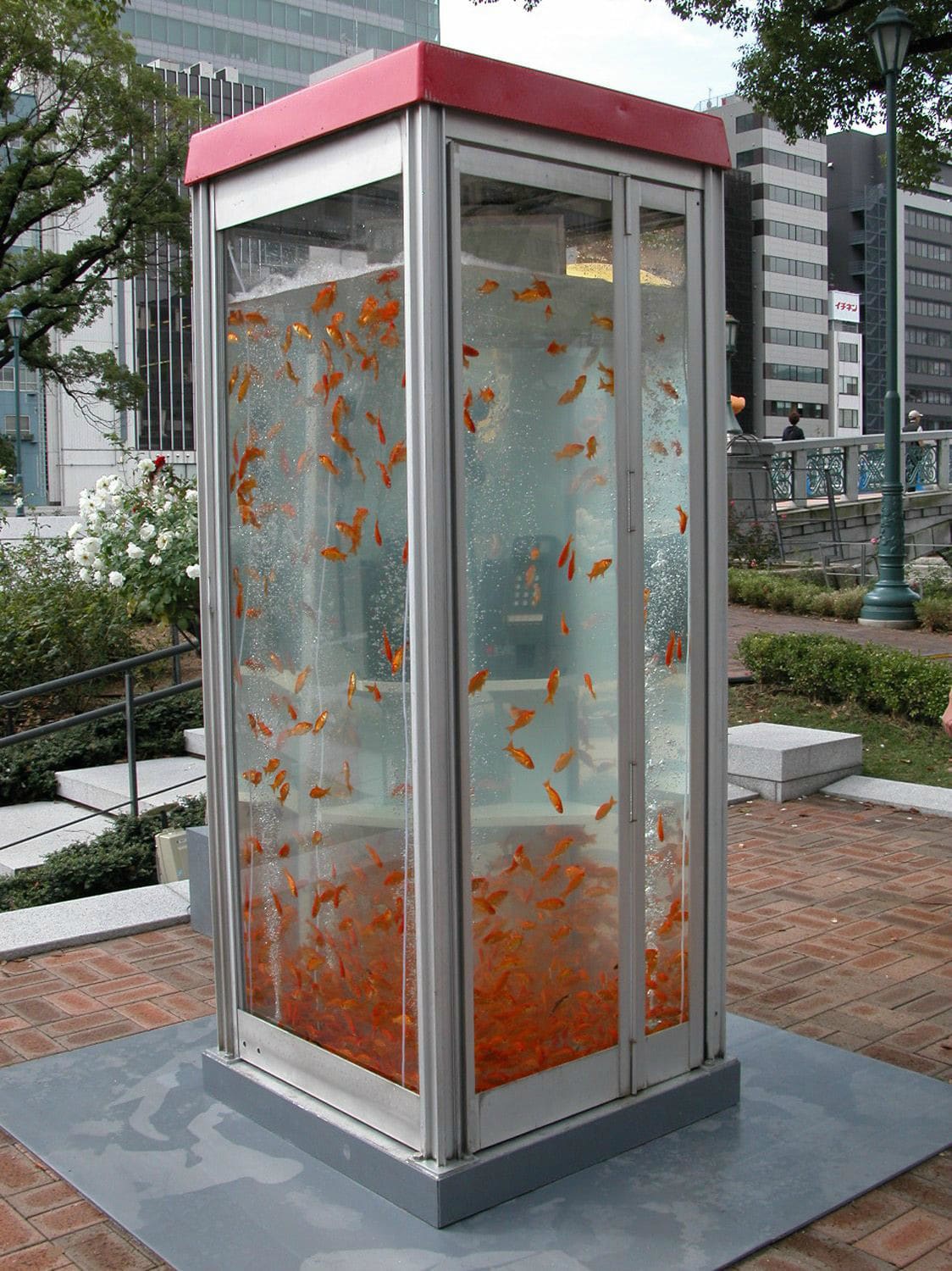Retro Phone Booths Transformed Into Massive Goldfish Aquariums