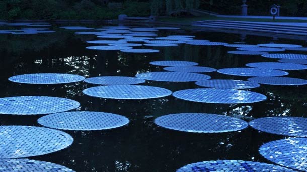 Upcycled CD Project Creates Enormous Water Lilies