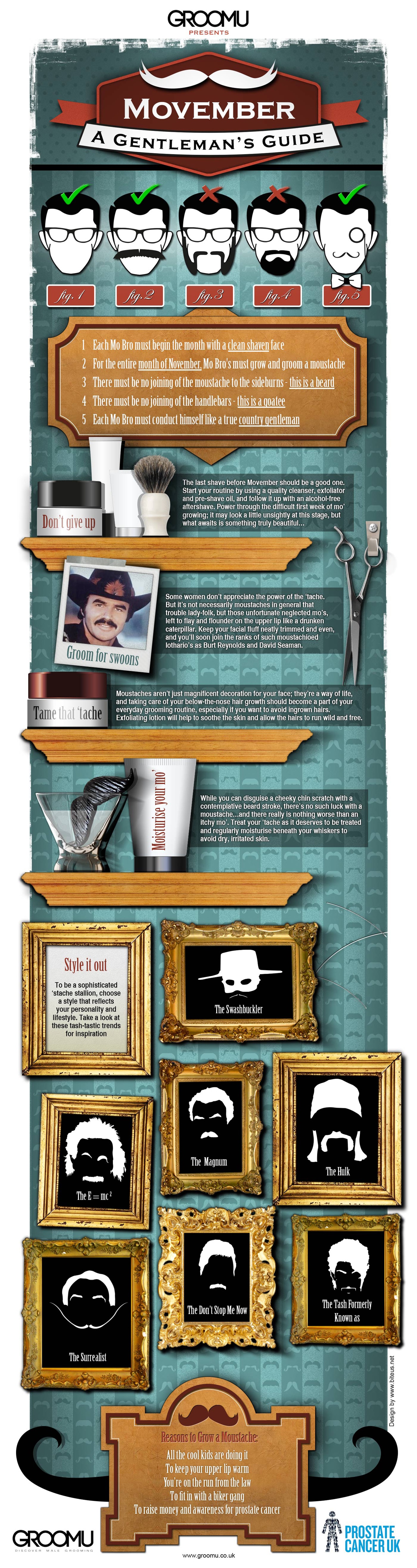 Movember: A Gentleman’s Guide To The Perfect Stache [Infographic]