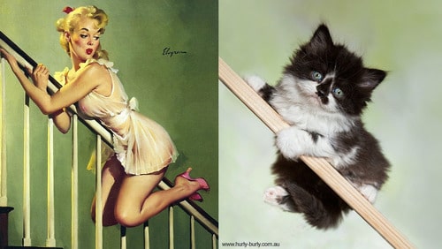 Your Daily Cute: Cats Posing Like Pin-Up Girls [10 Pics]