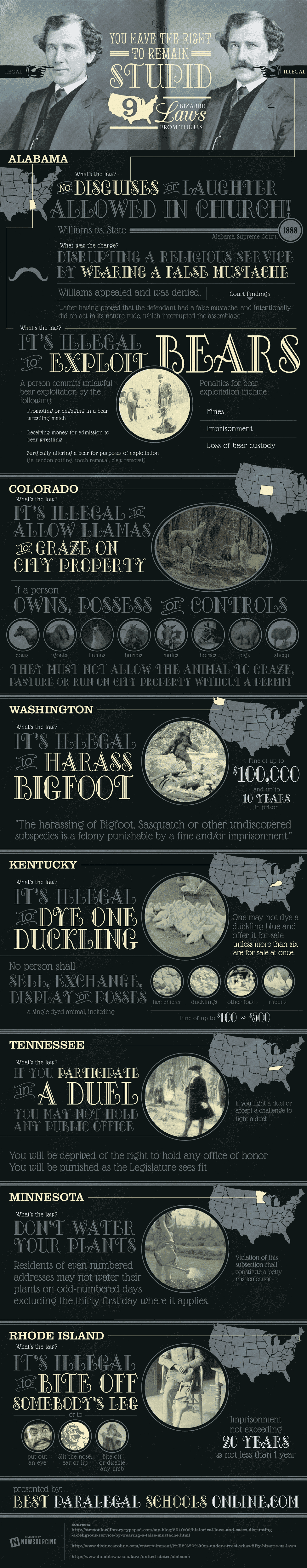 9 Bizarre Laws In American History [Infographic]