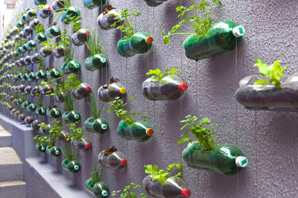 Spunky Urban Wall Garden Created From Recycled Plastic Soda Bottles