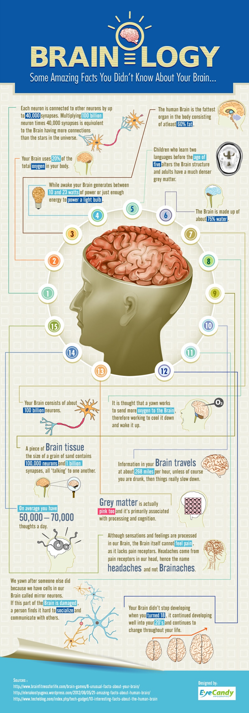 Brainology: 15 Intriguing Facts About Your Brain [Infographic]