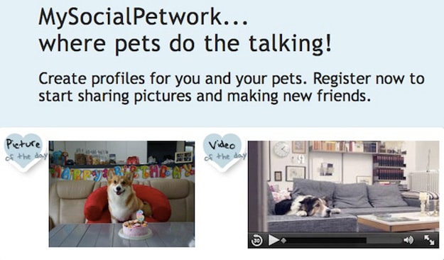 MySocialPetwork: A Social Media Site That Is Like Facebook For Pets