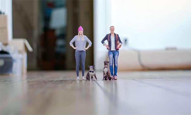 The Most Realistic 3D Printed Action Figures (Of You And Your Pet)