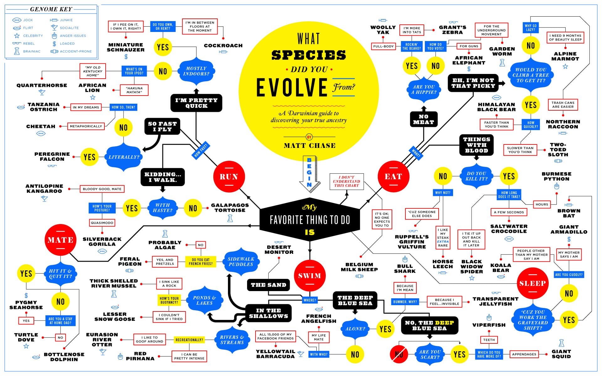 Discover Your Ancestry: What Species Did You Evolve From? [Flowchart]