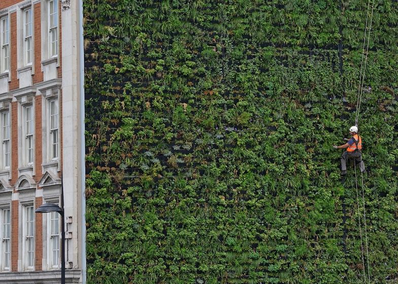 London’s Largest Living Wall Is Also A Sustainable Drainage System