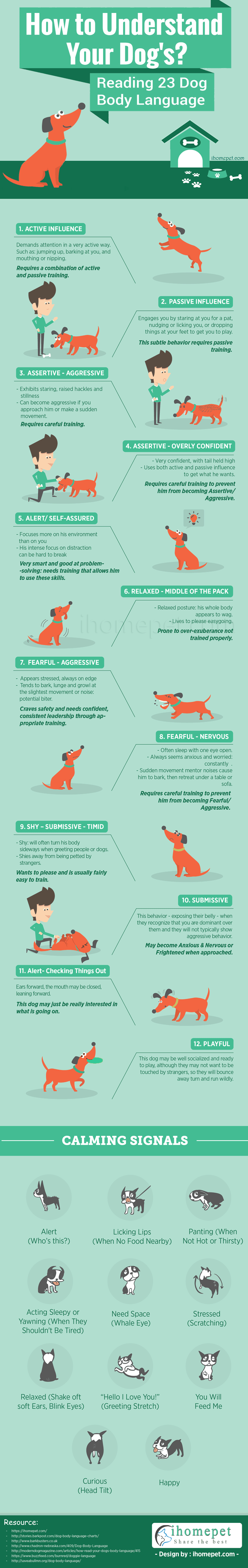 Understand Your Dog – Read 23 Dog Body Language Cues [Infographic]