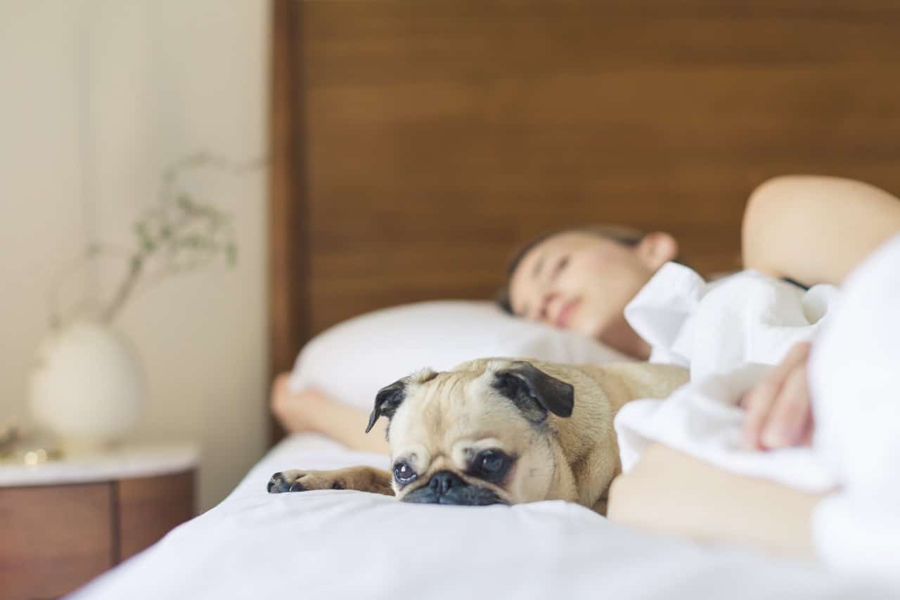 Top Mattress Apps To Track Your Sleeping During Night