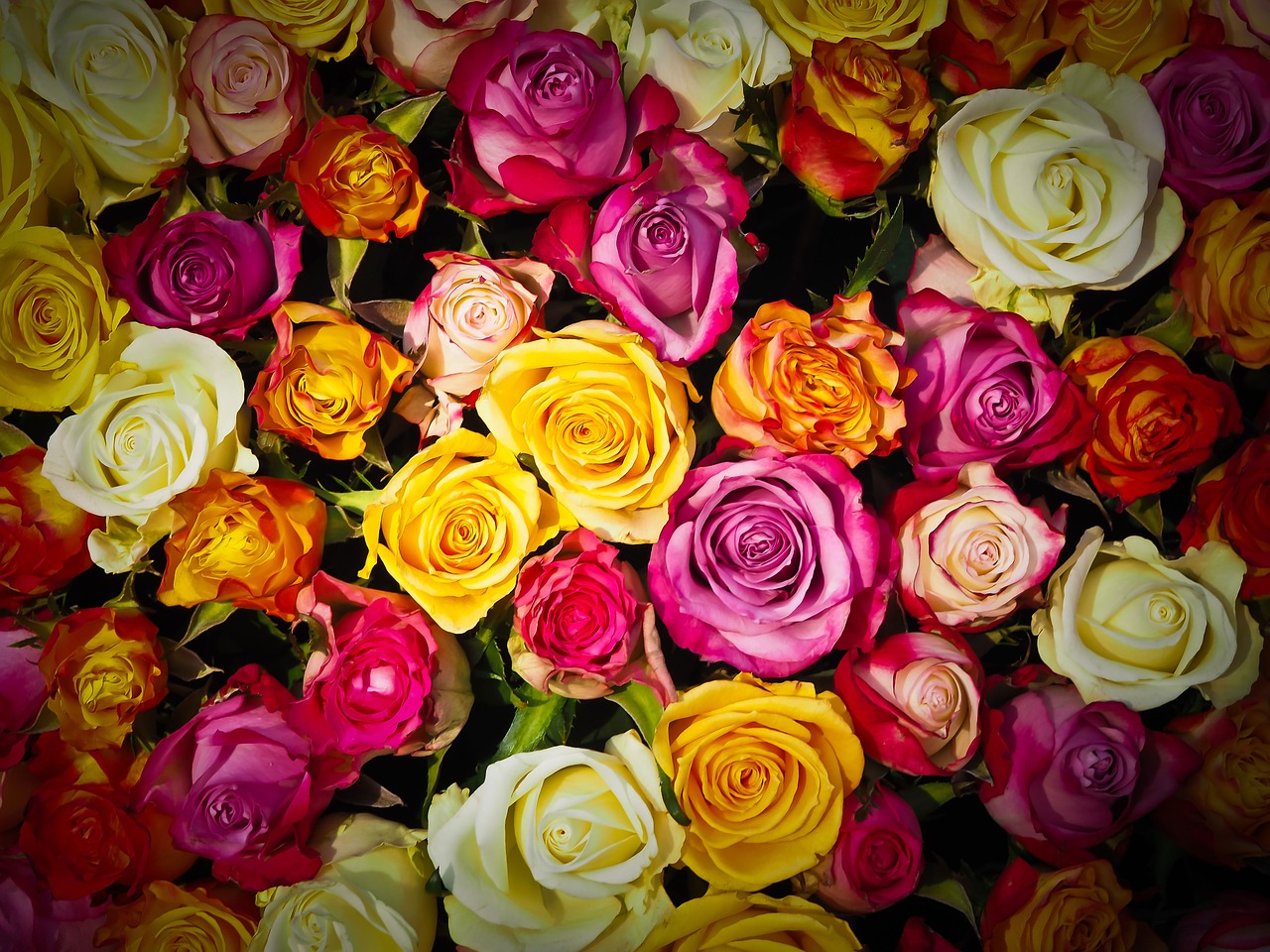 6 Benefits Of Shopping At International Online Florist Store