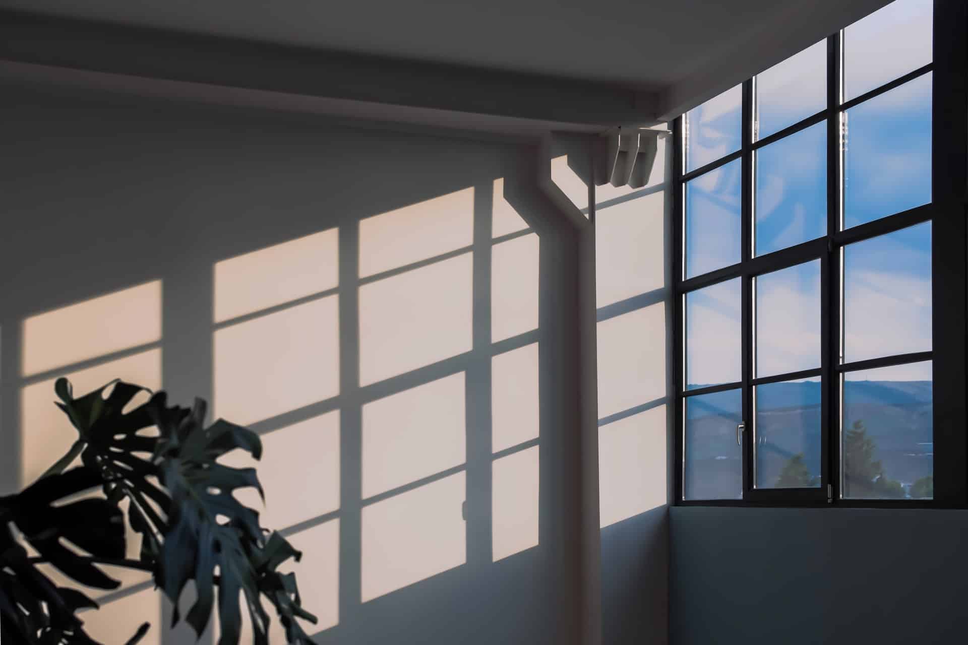 Most Popular Window Styles Header Image