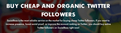 Buy Twitter Followers Guide Image3